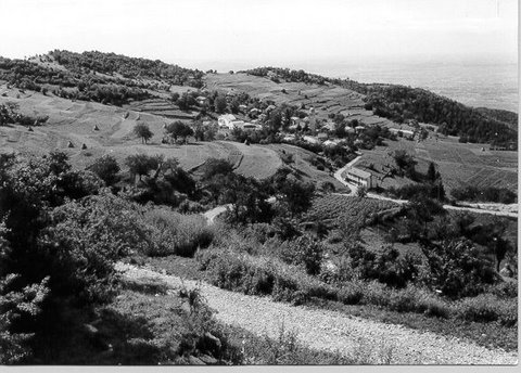 Valle - 1954